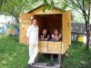 Сон на ульях и конструкции домиков для пчелотерапии